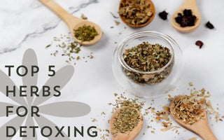Top 5 Herbs for Detoxing - Full Leaf Tea Company