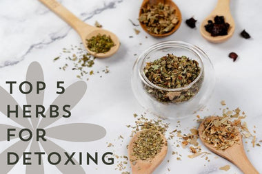 Top 5 Herbs for Detoxing - Full Leaf Tea Company