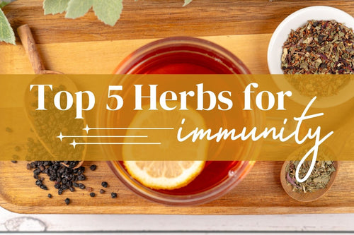 Top 5 Herbs for your Immune System - Full Leaf Tea Company