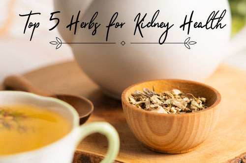 Top 5 herbs for kidney health