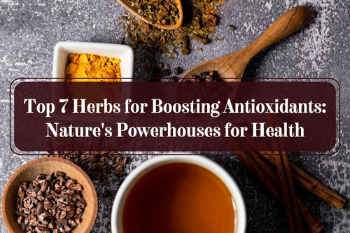 Top 7 herbs to boost antioxidants