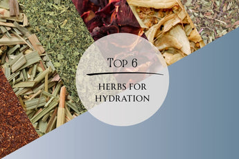 Top 6 Herbs for Hydration: Discover Best Teas for Hydration - Full Leaf Tea Company