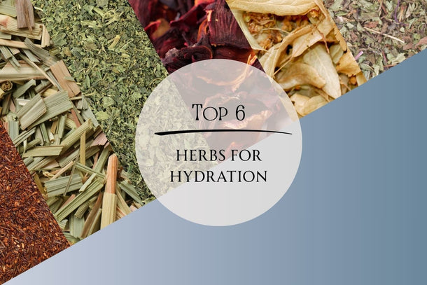 Top 6 Herbs for Hydration: Discover Best Teas for Hydration - Full Leaf Tea Company
