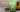 Turmeric Green Tea Cover Photo