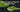 What grade of matcha should I buy? - Full Leaf Tea Company