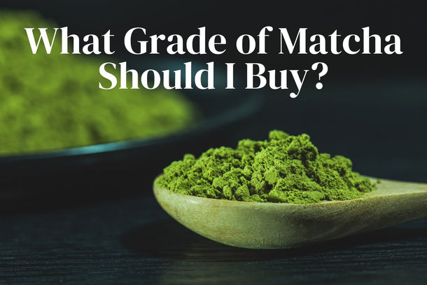 What grade of matcha should I buy? - Full Leaf Tea Company