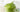 Homemade Organic Whipped Matcha Cream Recipe - Full Leaf Tea Company
