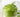 Homemade Organic Whipped Matcha Cream Recipe - Full Leaf Tea Company
