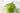 Homemade Organic Whipped Matcha Cream Recipe - Full Leaf Tea Company