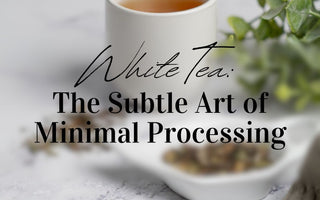 White Tea: The Subtle Art of Minimal Processing - Full Leaf Tea Company