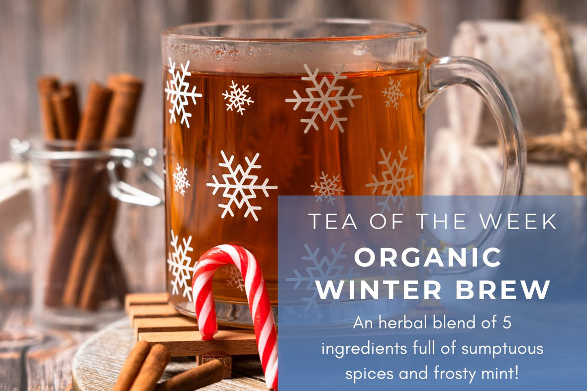 Organic Winter Brew Tea | Tea of the Week | Full Leaf Tea Company