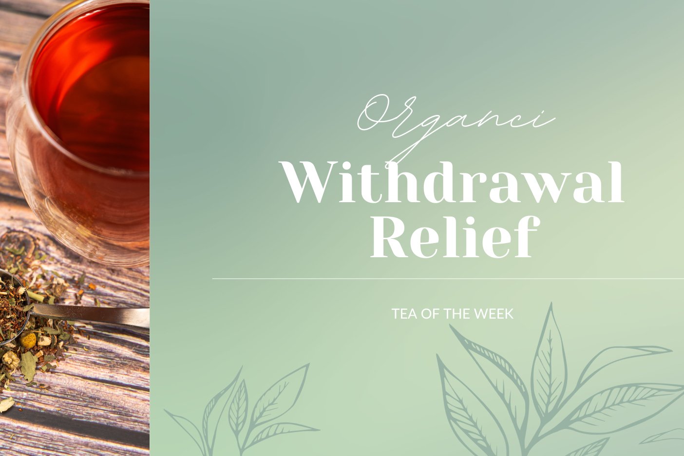 Organic Withdrawal Relief 🌿 | Tea of the Week - Full Leaf Tea Company