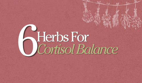 6 Herbs to Help Balance Cortisol Levels - Full Leaf Tea Company