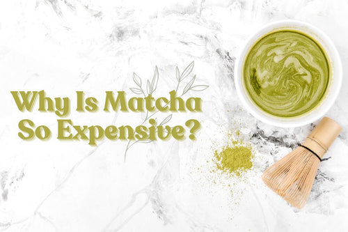 Why is Matcha so Expensive? - Full Leaf Tea Company