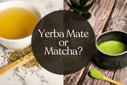 Yerba Mate or Matcha? Reap the Benefits - Full Leaf Tea Company