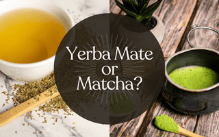 Yerba Mate or Matcha? Reap the Benefits - Full Leaf Tea Company