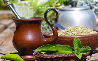 Yerba Mate or Matcha? Reap the Benefits - Full Leaf Tea Company