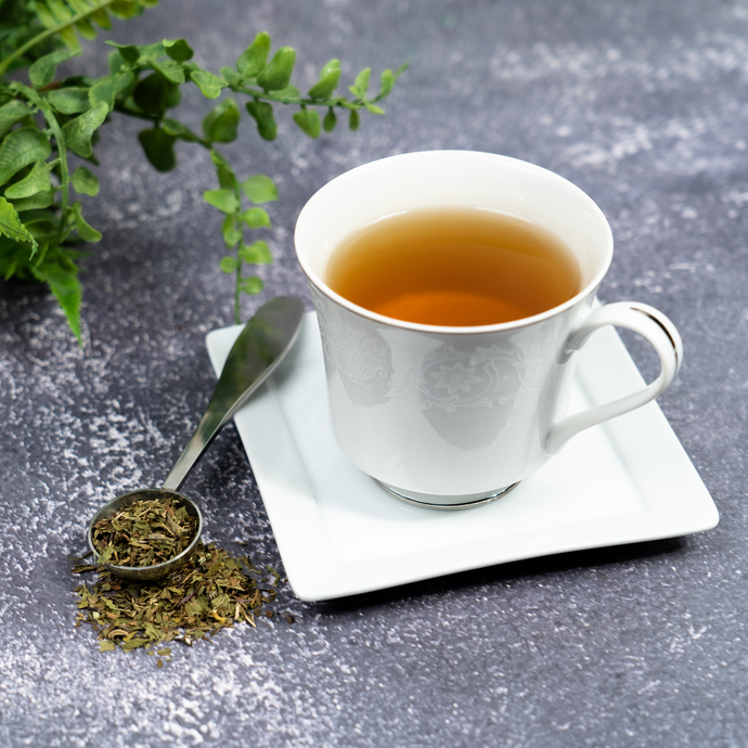 A white porcelain teacup filled with Organic Peppermint Tea on a square saucer, beside a teaspoon of loose peppermint leaves, on a textured gray surface with green foliage in the background.