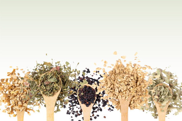 5 herbs for cold and flu