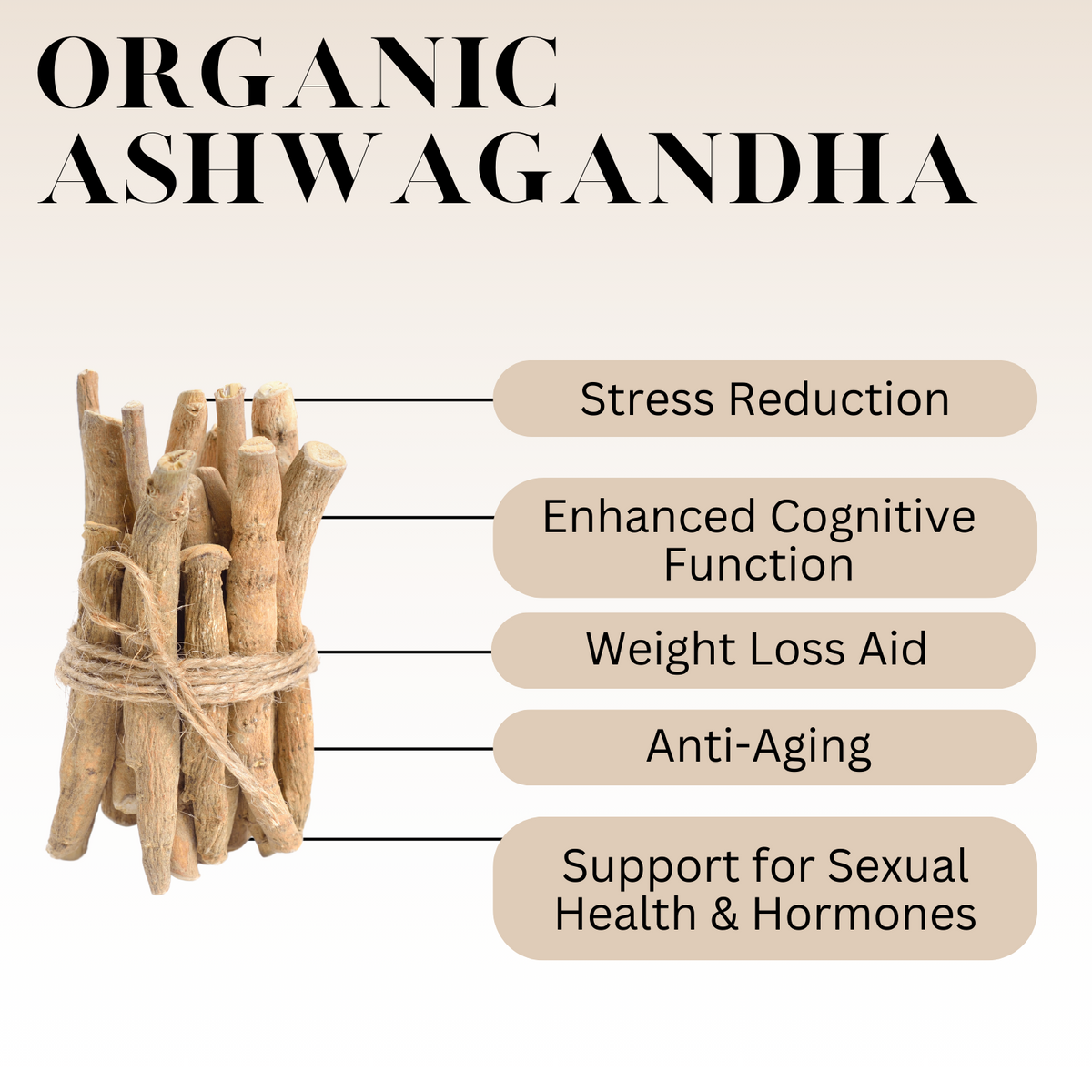Infographic titled 'Organic Ashwagandha' showing a bundle of ashwagandha roots tied with twine and listing benefits: Stress Reduction, Enhanced Cognitive Function, Weight Loss Aid, Anti-Aging, and Support for Sexual Health and Hormones.