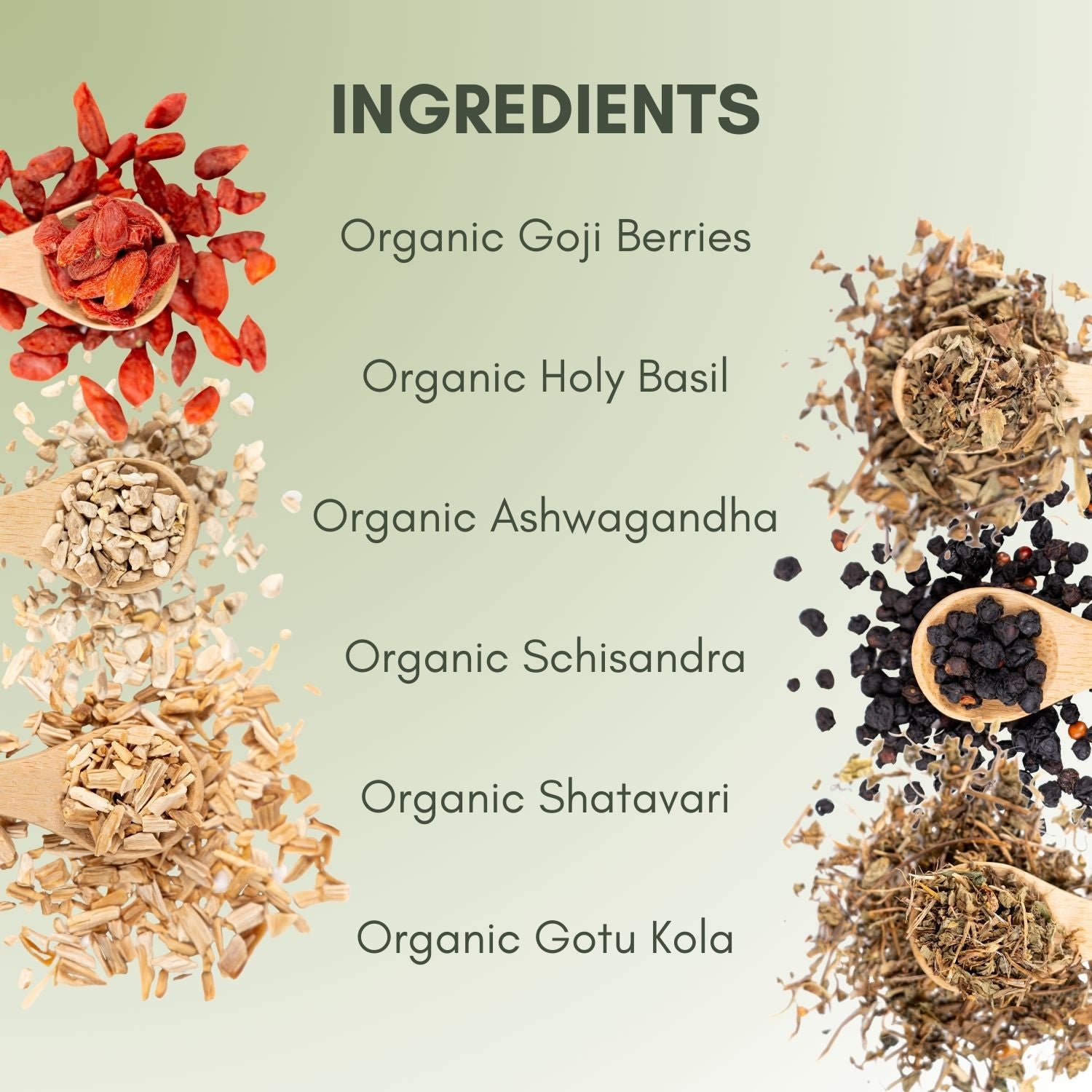 Organic Adaptogen Tea - Natural Herbal Blend | Full Leaf Tea Company