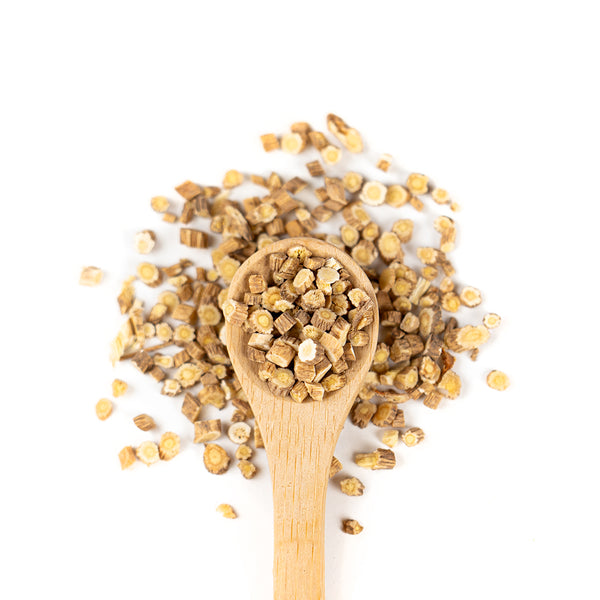 Wooden spoon of Organic Astragalus on a white background.