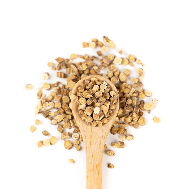 Wooden spoon of Organic Astragalus on a white background.