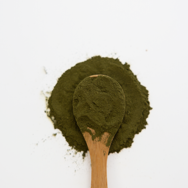 Wooden spoon with Barley grass powder on a white background