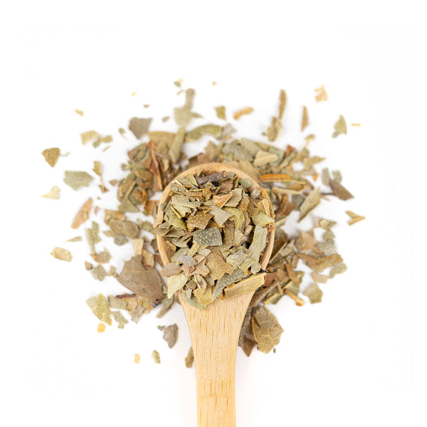 Wooden spoon of Organic Boldo on a white background.