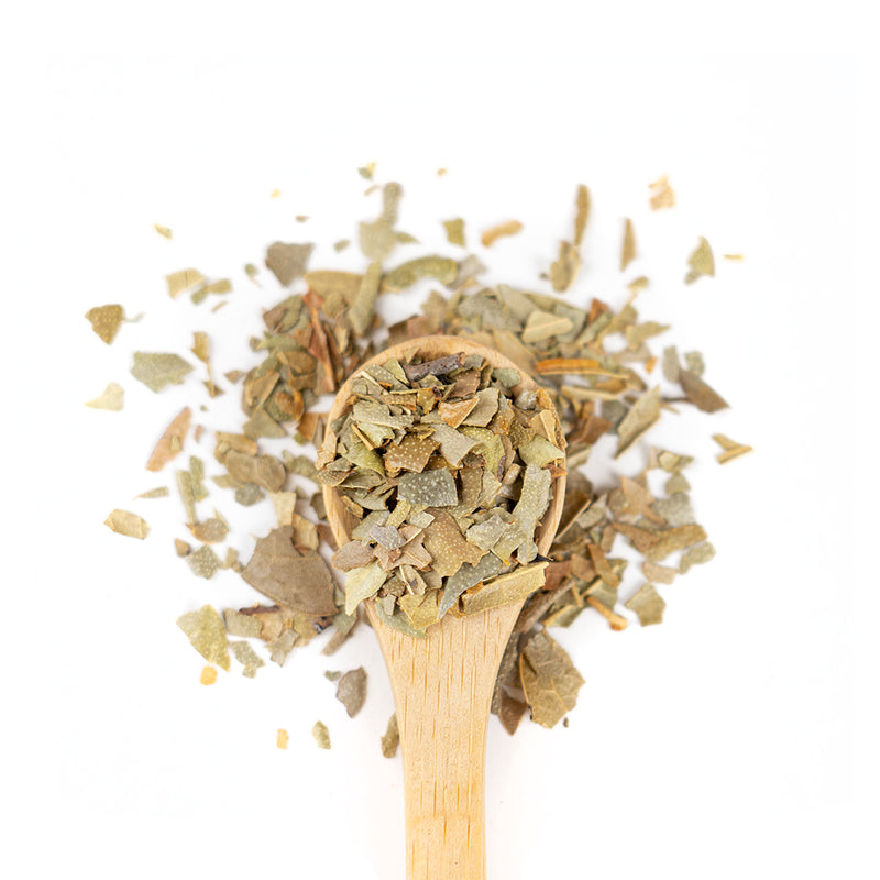 Wooden spoon of Organic Boldo on a white background.
