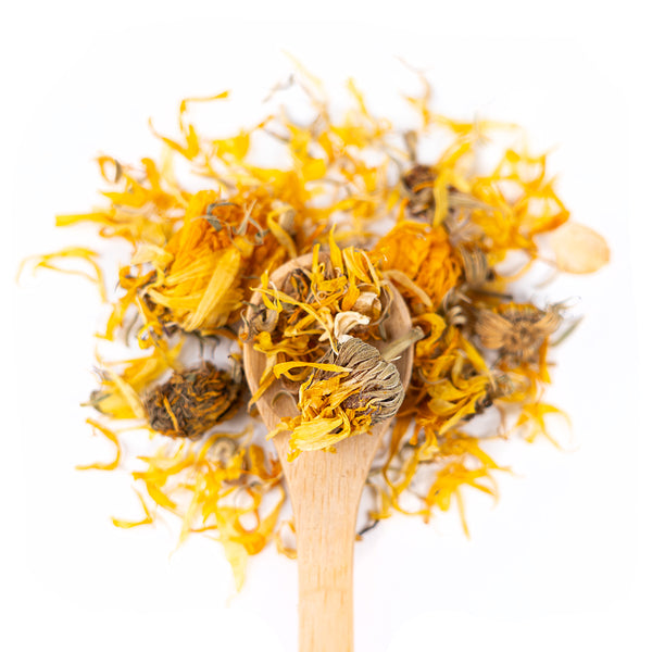 Wooden spoon of Organic Calendula on a white background.