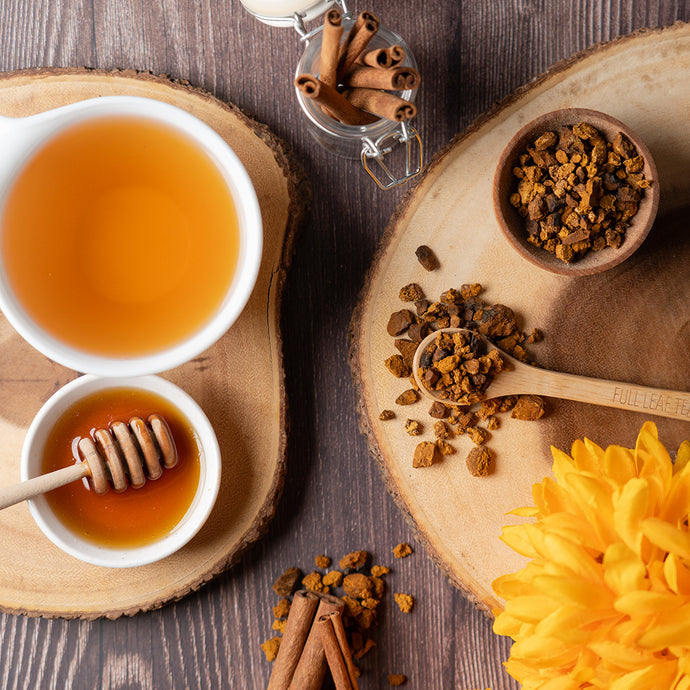 One bowl of chaga mushroom tea, one bowl of honey with a wooden spoon, cinnamon sticks, and a yellow flower on a wooden surface.