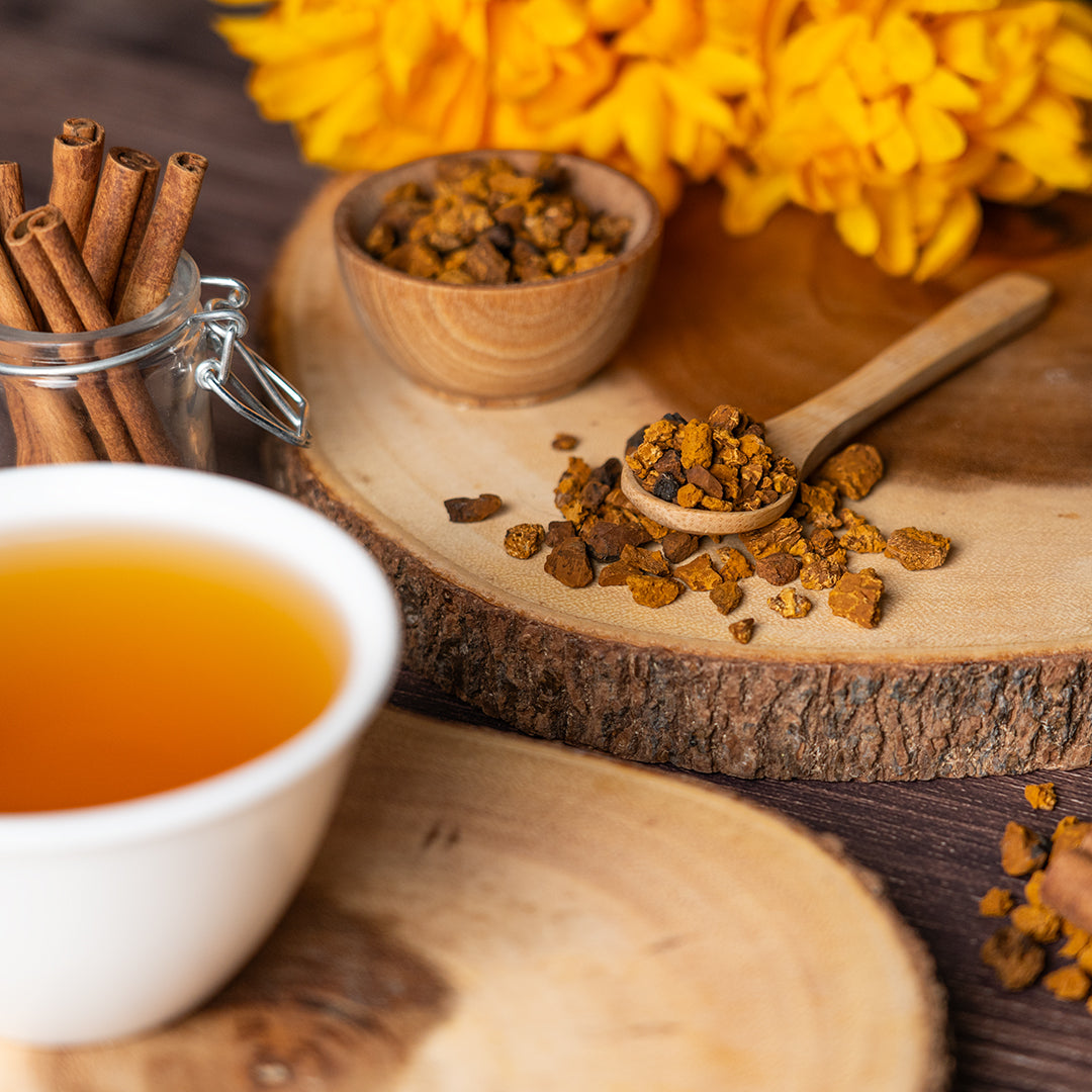 Wooden spoon and bowl filled with chaga mushroom chunks on a wooden board beside a cup of chaga tea and cinnamon sticks.