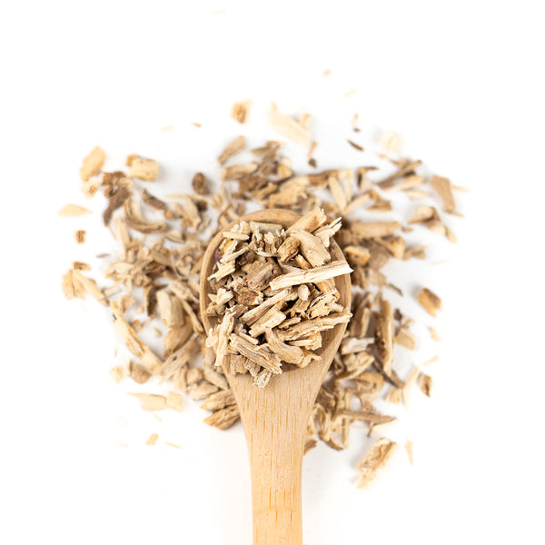 Wooden spoon of Organic Chicory Root on a white background.