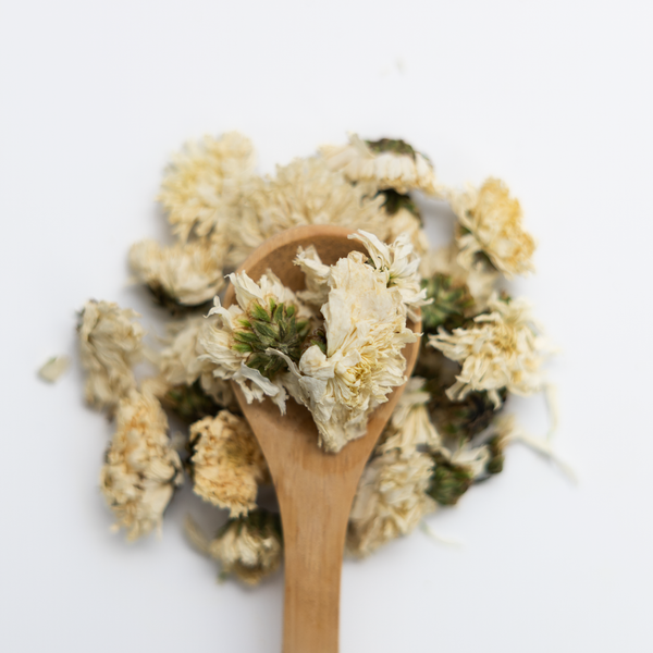 Wooden spoon with dried chrysanthemum on a white background