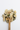 Wooden spoon with dried chrysanthemum on a white background