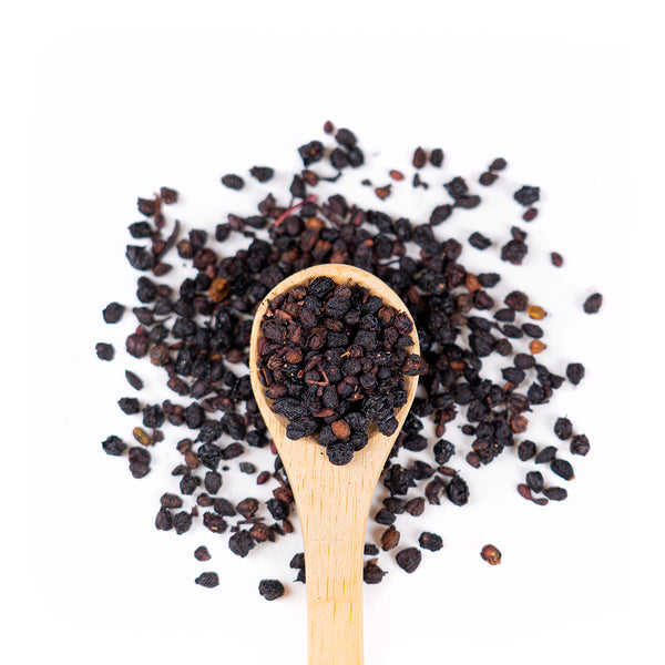 Wooden spoon of Organic Elderberries on a white background.