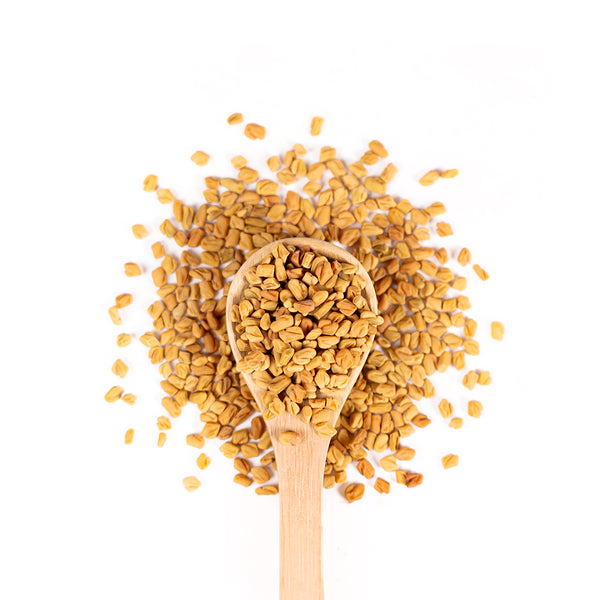Wooden spoon of Organic Fenugreek on a white background.