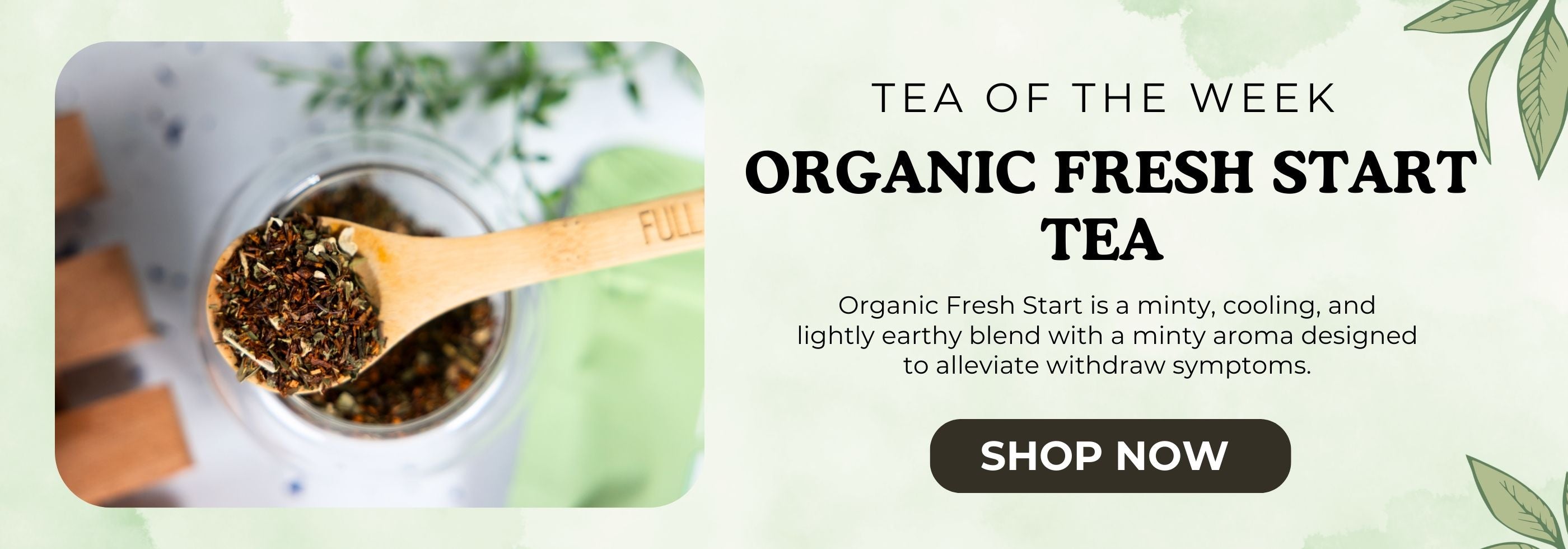 tea of the week organic fresh start tea