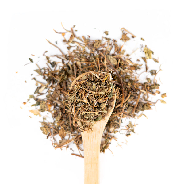 Wooden spoon of Organic Gotu Kola on a white background.