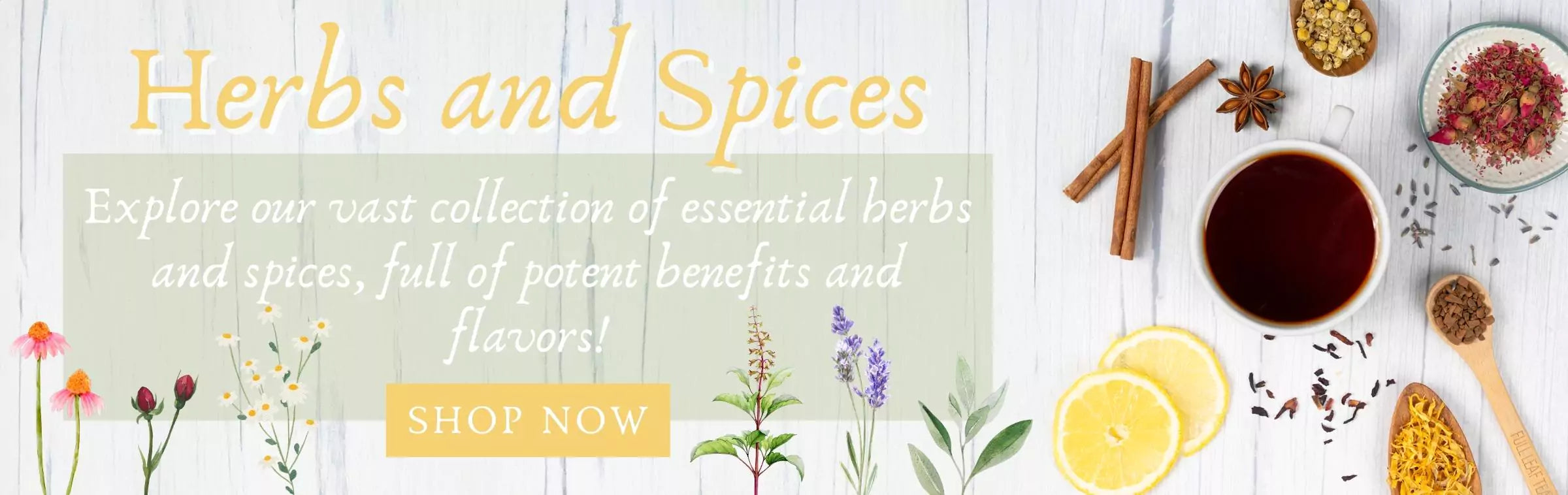 Herbs spices web