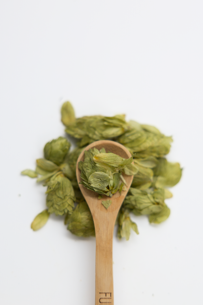 Dried green hops flowers in a wooden spoon on a white background