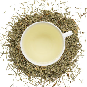 Organic Horsetail - Loose Leaf Tea - Full Leaf Tea Company