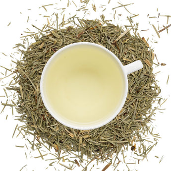 Organic Horsetail - Loose Leaf Tea - Full Leaf Tea Company