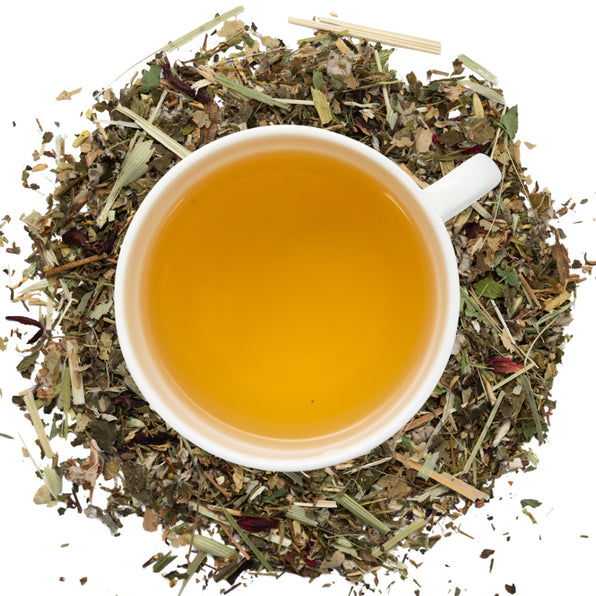 White cup of hydration tea surrounded by dry hydration tea herbs on a white background
