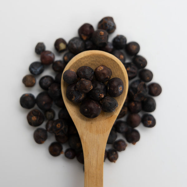 Wooden spoon filled with juniper berries on a white background