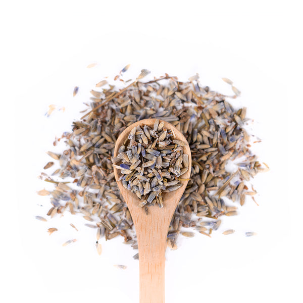 Wooden spoon of Organic Lavender on a white background.