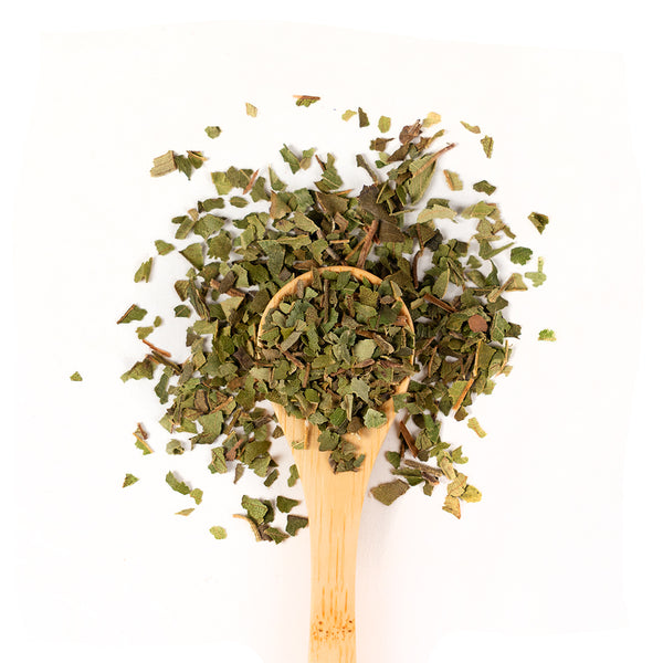 Wooden spoon of Organic Lemon Myrtle loose leaf tea on a white background.