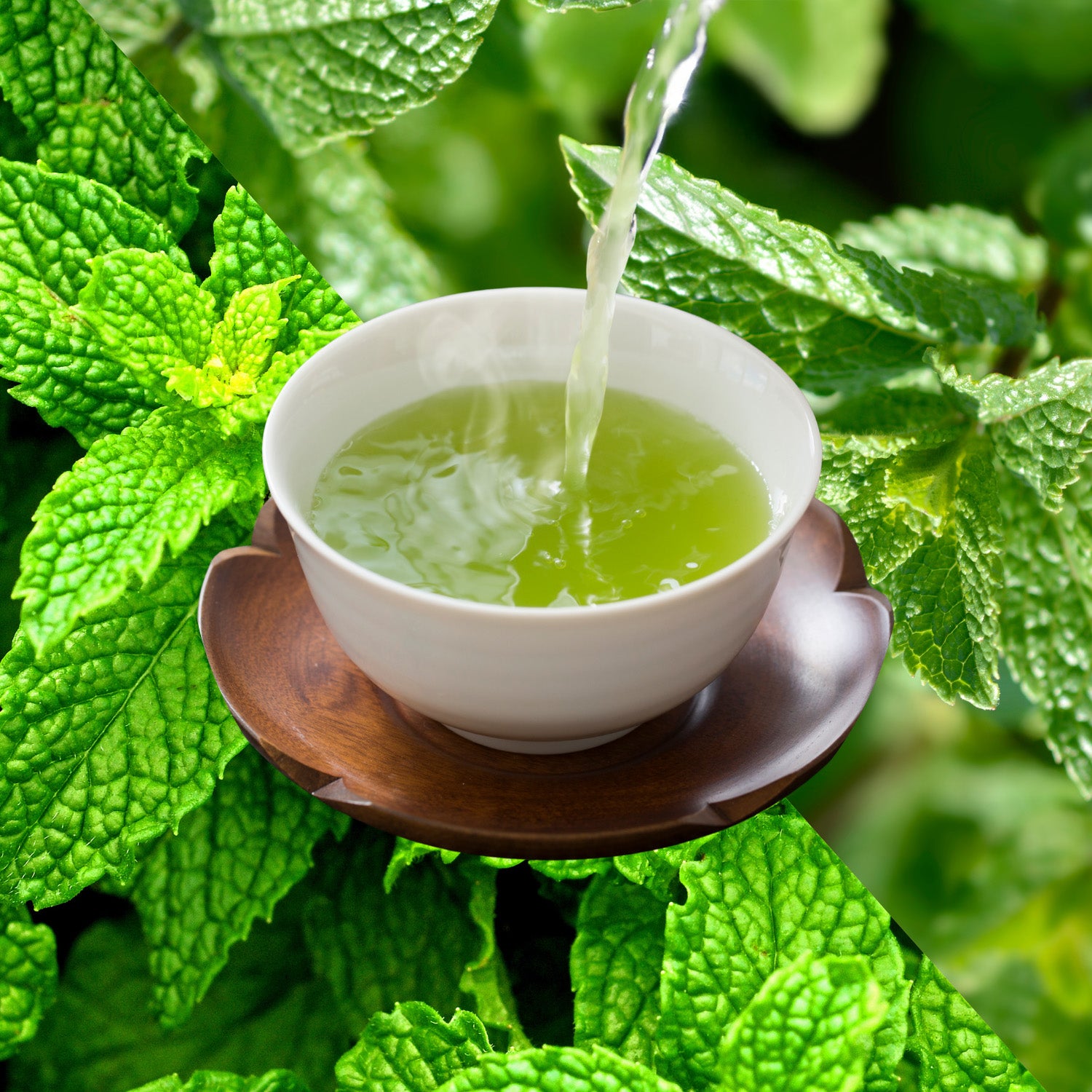 mint tea　準備中 Organic Mint Bliss - Loose Leaf Green Tea – Full Leaf Tea Company