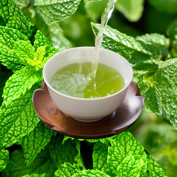 White cup of freshly brewed Organic Mint Bliss being poured, set on a wooden saucer with fresh mint leaves in the background.